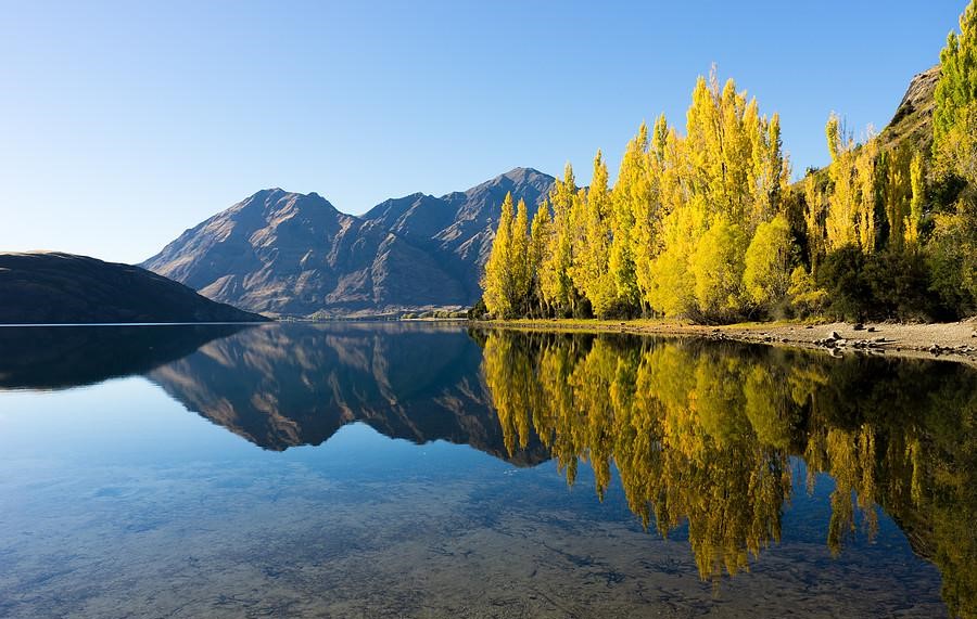 Docker命令快速入门